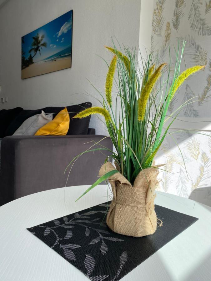 Sunshine Apartment Torrevieja Ngoại thất bức ảnh