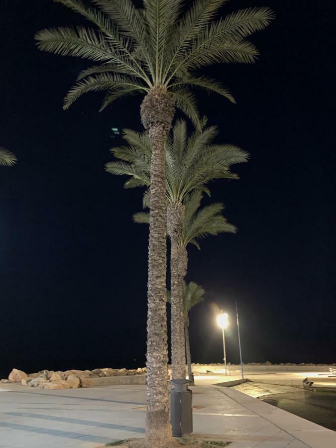 Sunshine Apartment Torrevieja Ngoại thất bức ảnh
